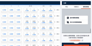 Betmaster投注類型
