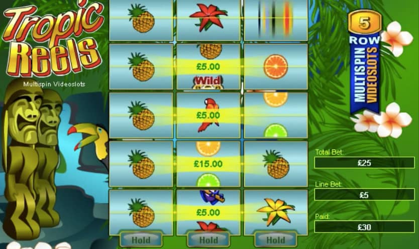 玩家回報率99.00%-Tropic Reels大頭彩老虎機 