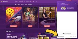 TrustDice Casino（信任骰子賭場）比特幣賭場 | 客戶服務