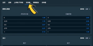 Stake Sports 體育博彩－投注類型