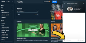 Stake.com 賭場－客戶支援